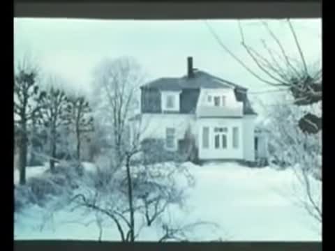 Üvey Anne ve Oğlan, Vintage